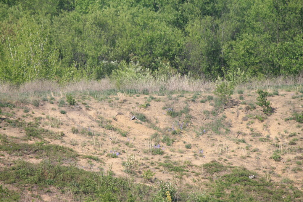 Photo: IMG 0021