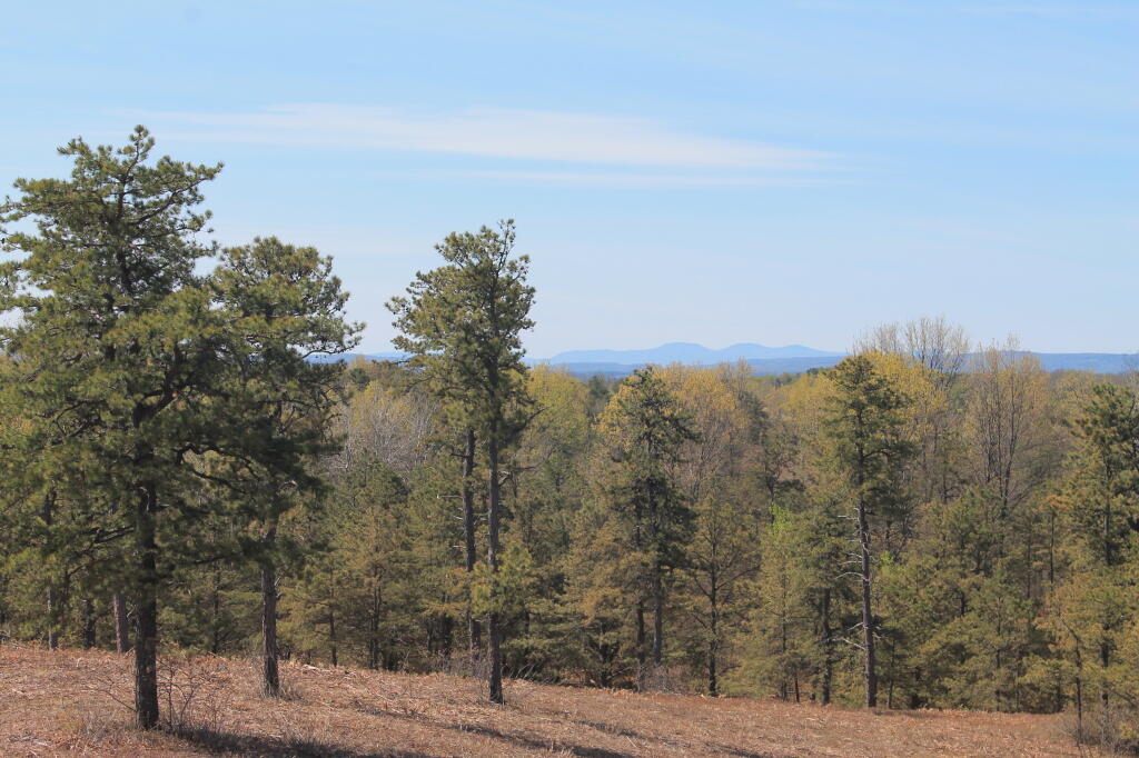 Photo: Catskills from Overlook Dune