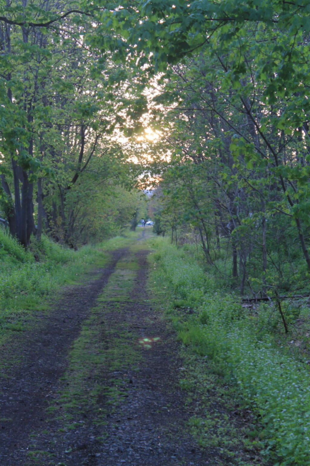 Photo: The Rail Trail Photo: The Rail Trail