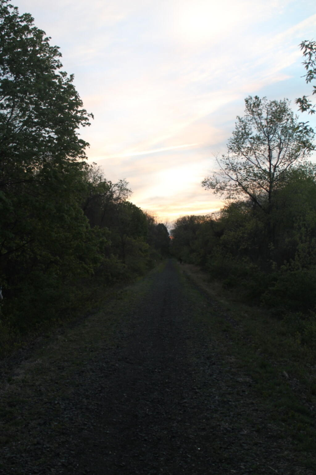Photo: After Dusk Photo: After Dusk