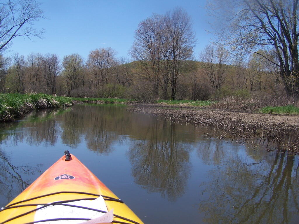 Photo: Along One of Twists in Creek