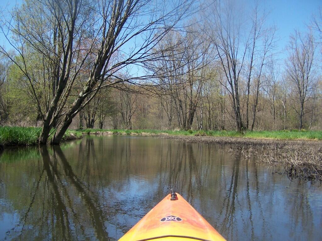 Photo: Spookey Open Area of the Swamp