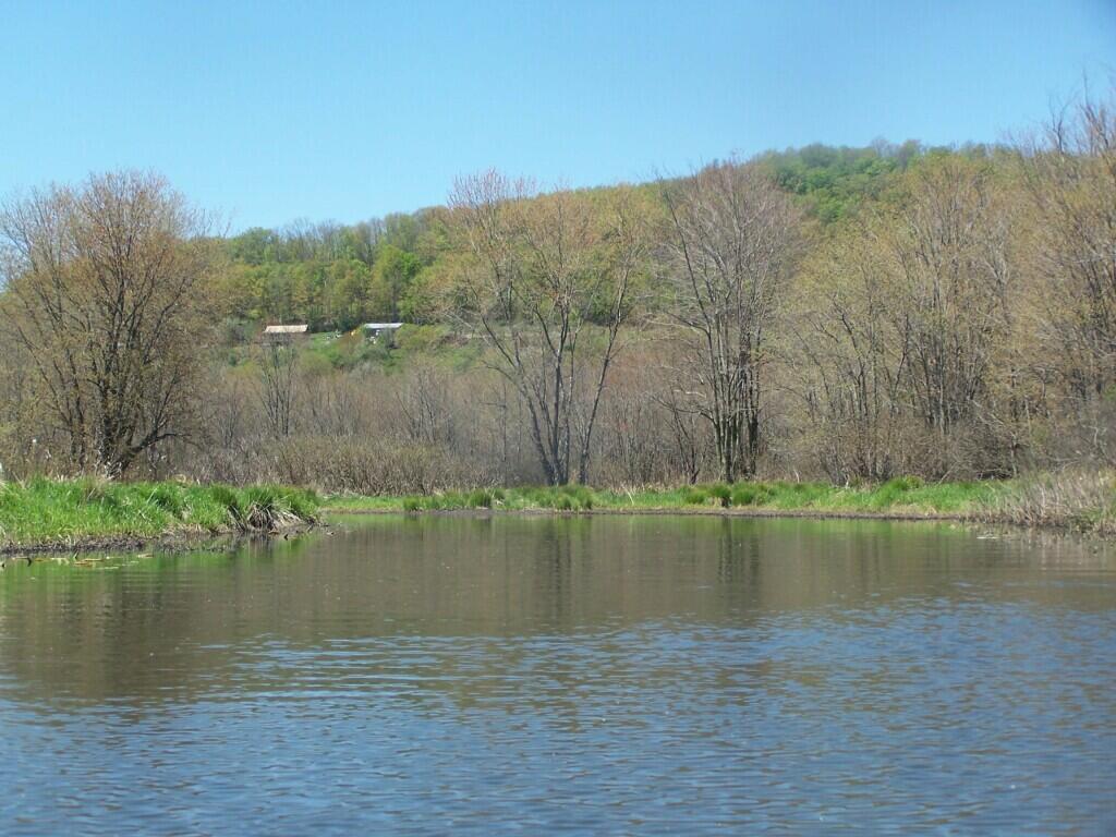 Photo: Farm Up on Cole Hill