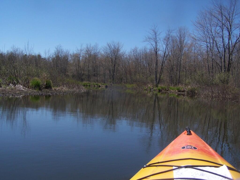 Photo: Along the Swamp