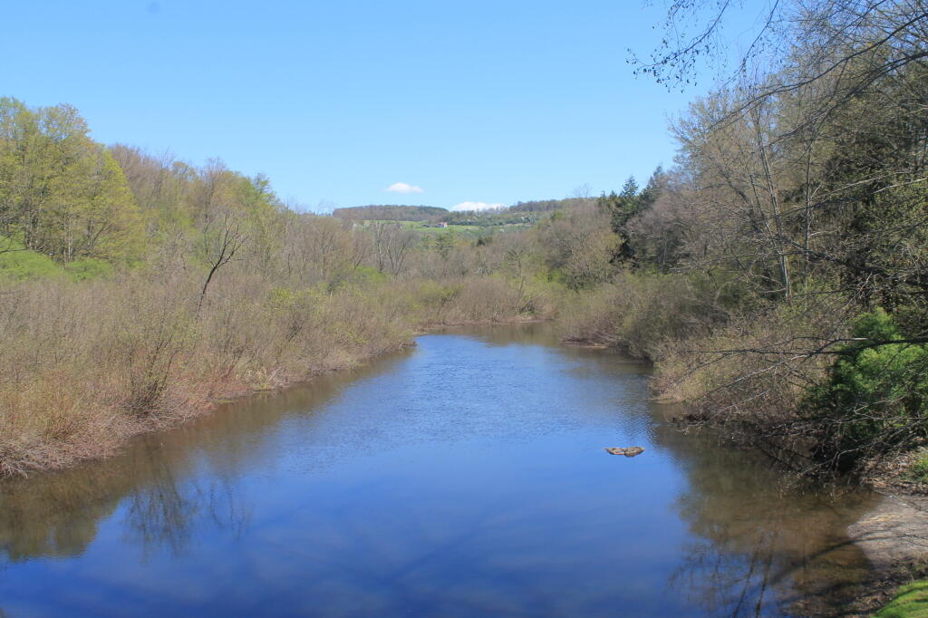 Photo: From the Wickham Road Put In