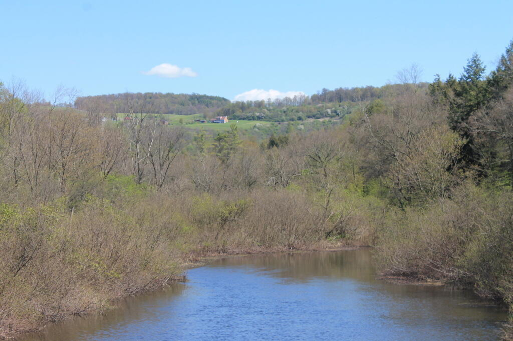 Photo: Sangerfield River