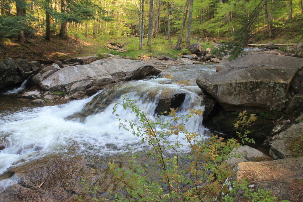 Photo: Above the Falls