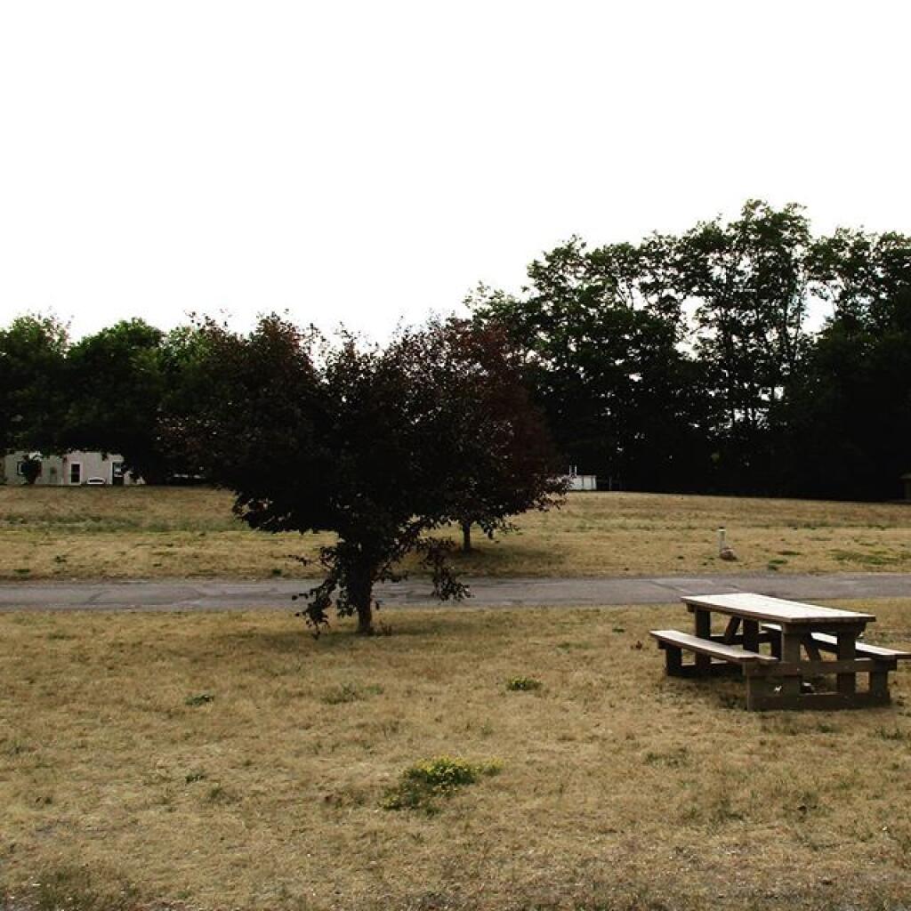 Photo: Drought has made grass look like mid winter