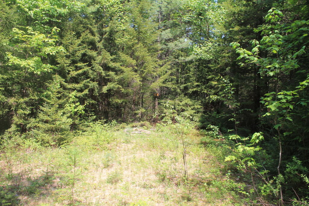 Photo: Former Campsite 46