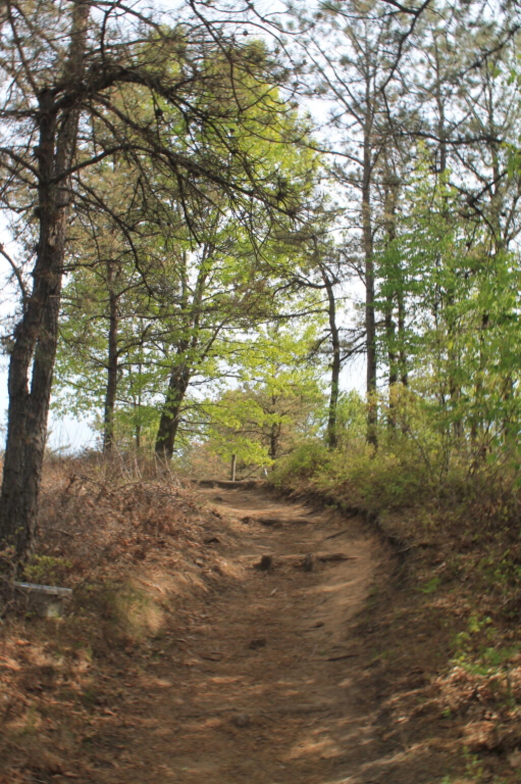 Photo: Blue Trail