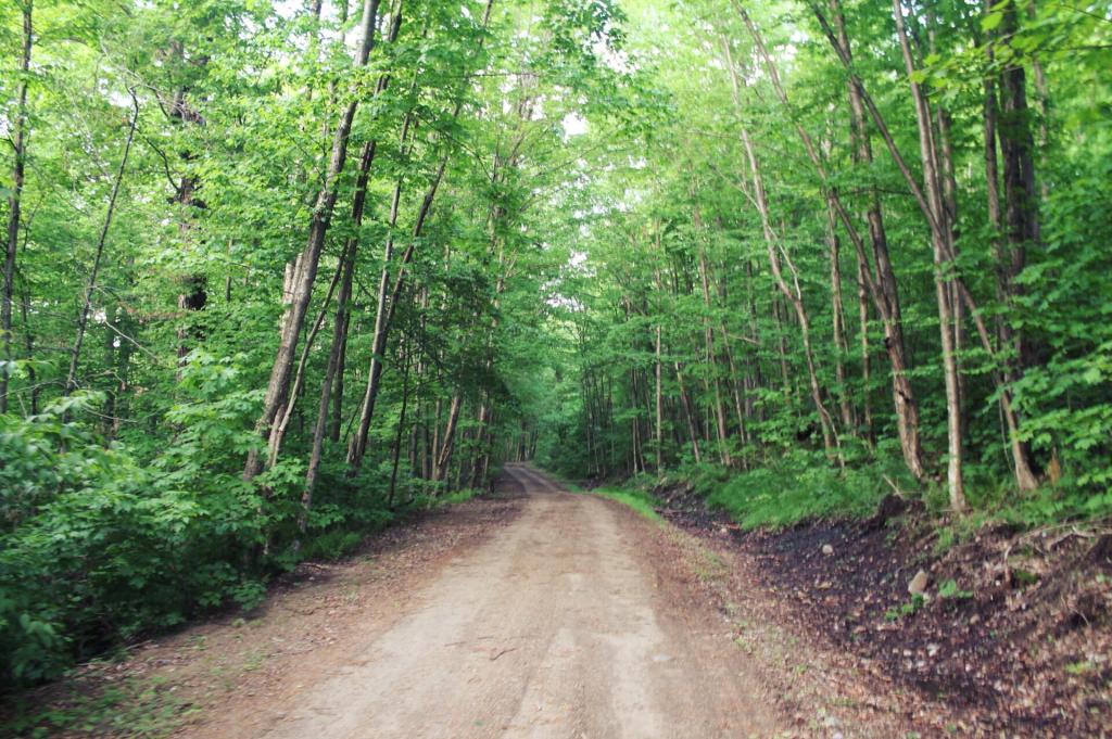 Photo: Open Section of Indian Lake Road Photo: Open Section of Indian Lake Road
