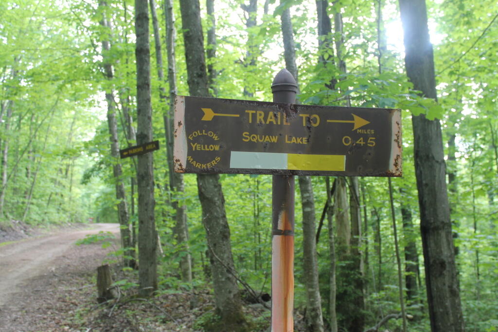 Photo: Trail to Squaw Lake Photo: Trail to Squaw Lake