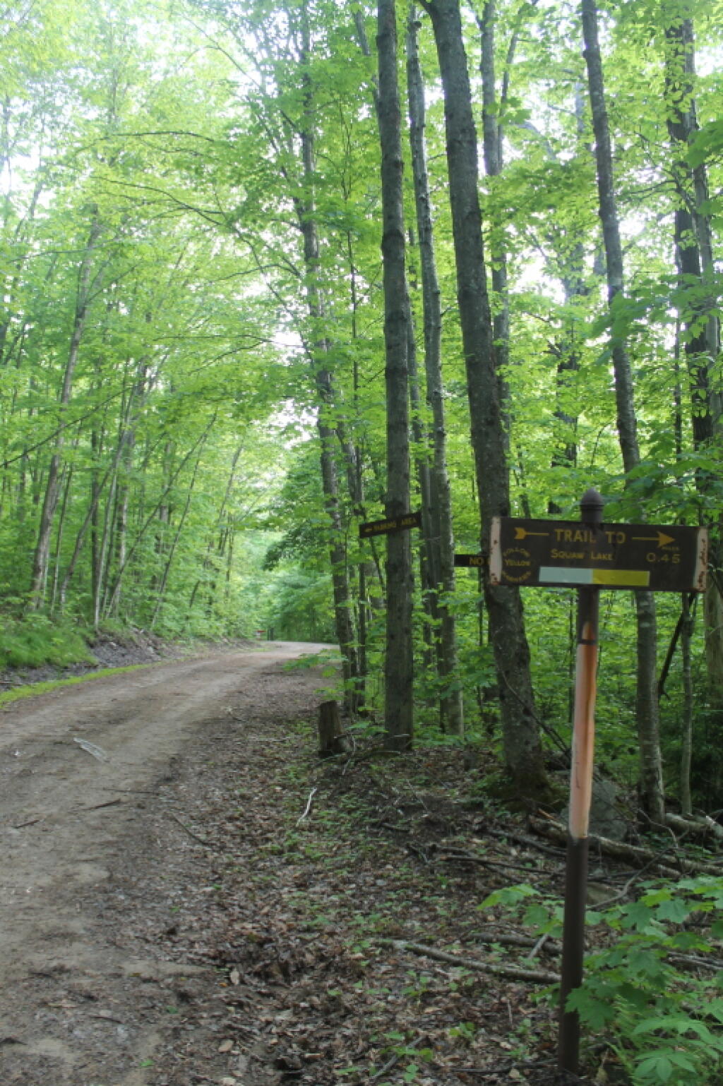 Photo: Indian Lake Road Photo: Indian Lake Road