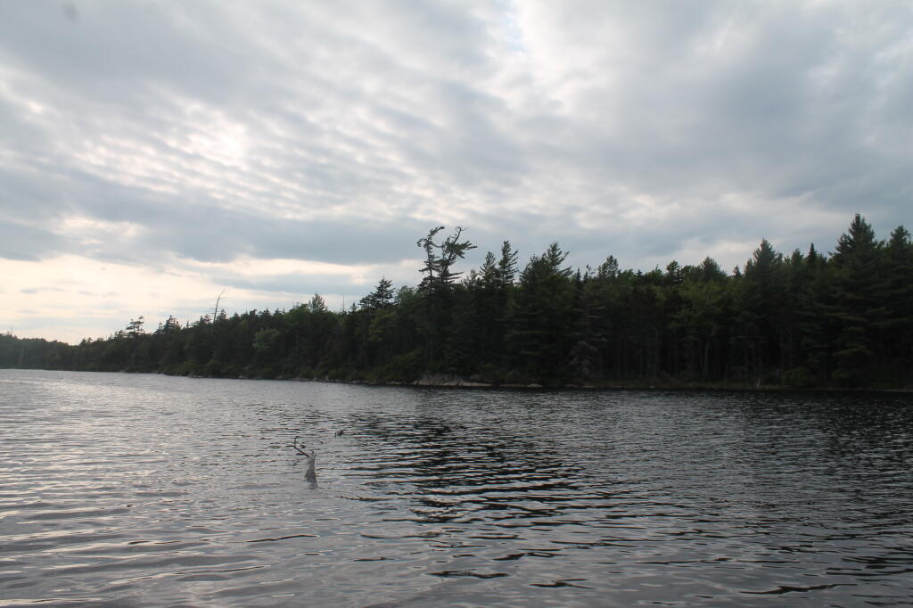 Photo: Squaw Lake Photo: Squaw Lake