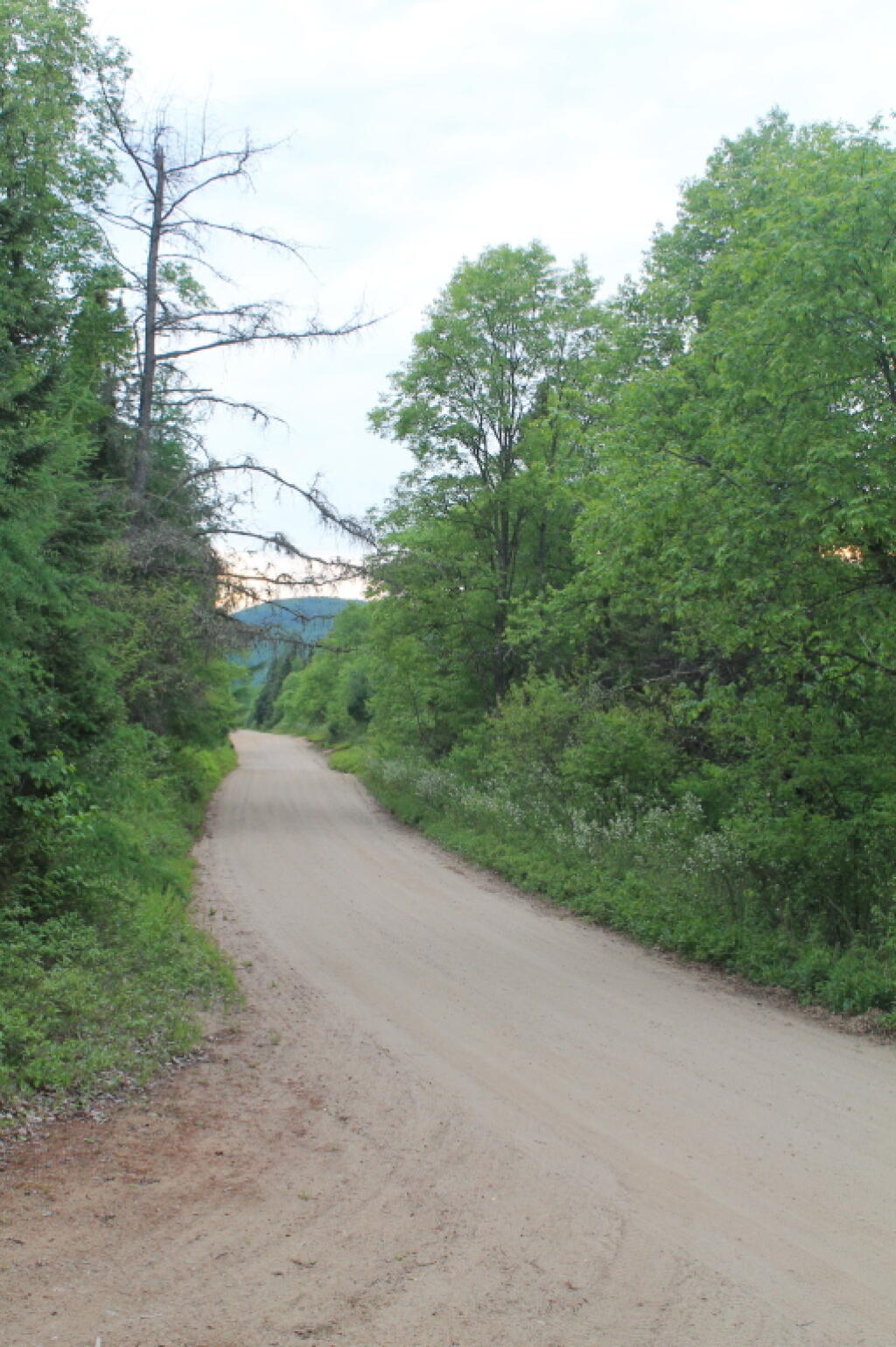 Photo: Moose River Road