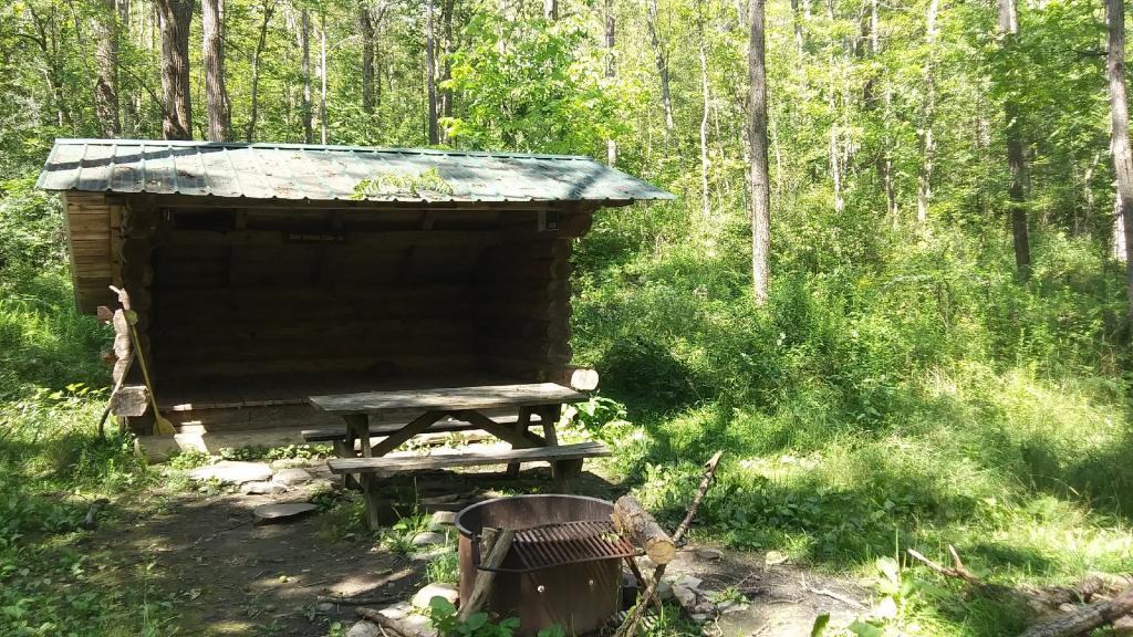 Photo: Buck Settlement Lean-to Photo: Buck Settlement Lean-to