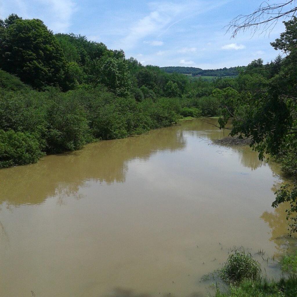 Photo: Water levels are high and mucky. Might come back tomorrow.