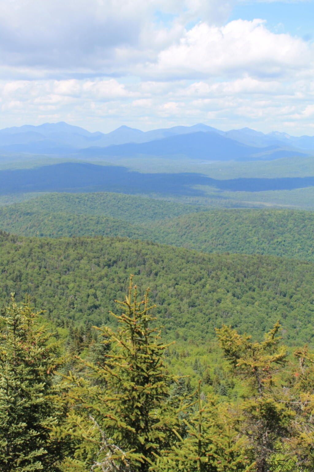 Photo: North 5
