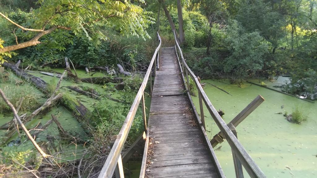 Photo: I just crossed this bridge and did not die. Photo: I just crossed this bridge and did not die.