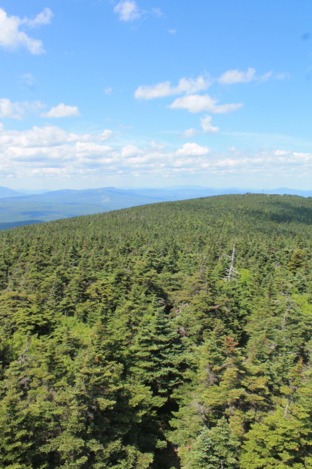 Photo: North Towards Stratton Mountain Ski Resort
