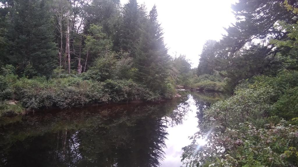 Photo: Jessup River Photo: Jessup River