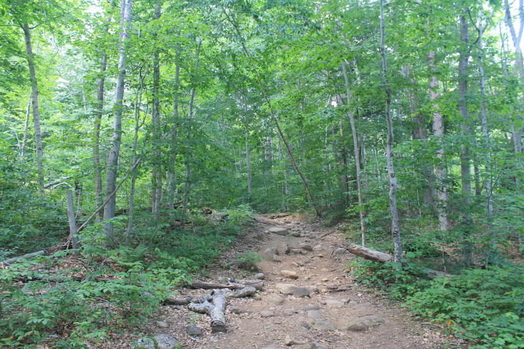 Photo: Heading Up to Echo Cliffs