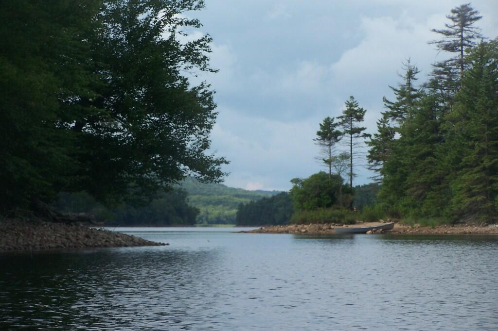Photo: Island Photo: Island