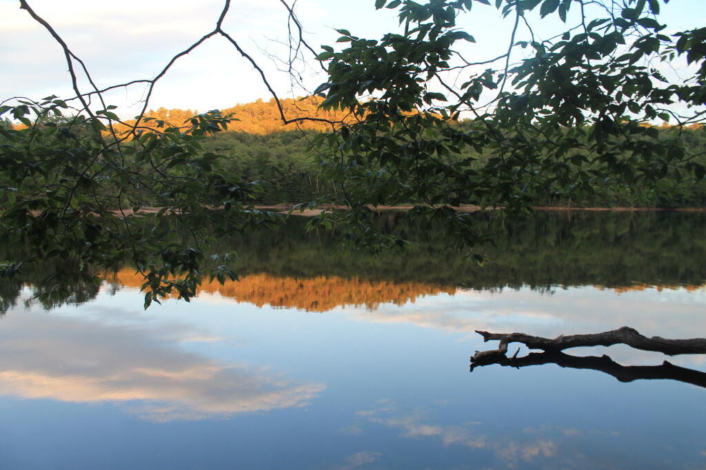 Photo: Evening Reflect Photo: Evening Reflect
