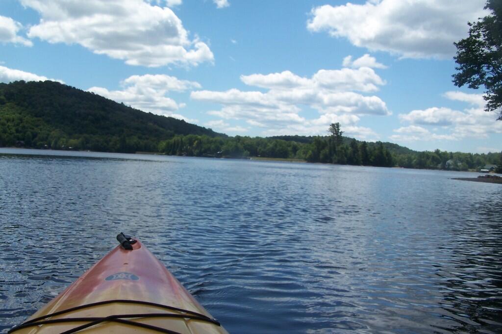 Photo: Paddling Along Photo: Paddling Along