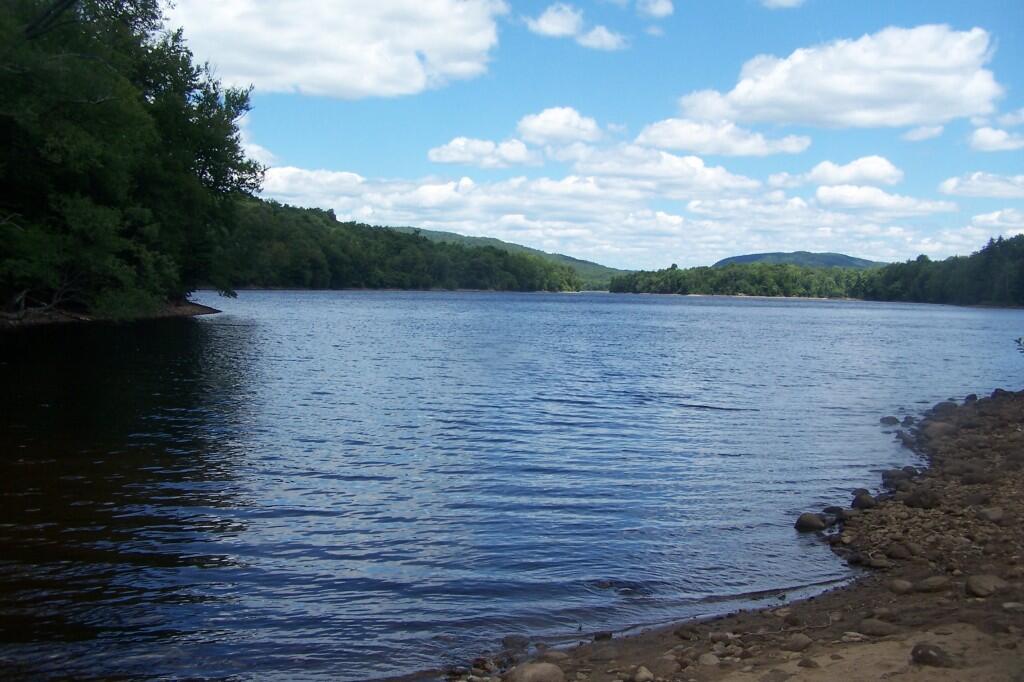 Photo: Edge of Lake Photo: Edge of Lake