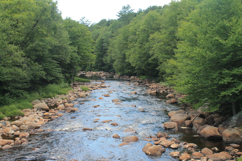Photo: Black River South from Farr Road Photo: Black River South from Farr Road