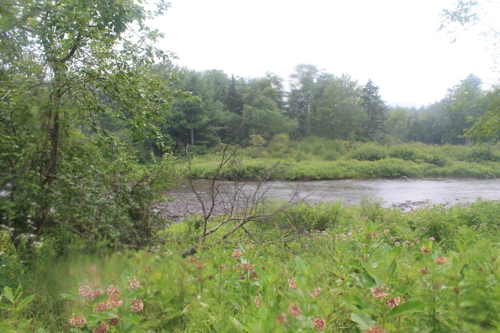Photo: West Branch Photo: West Branch