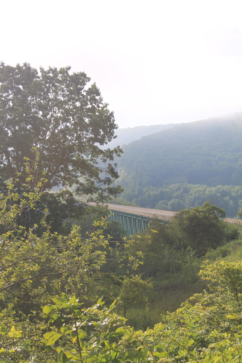 Photo: Cornplanters Bridge