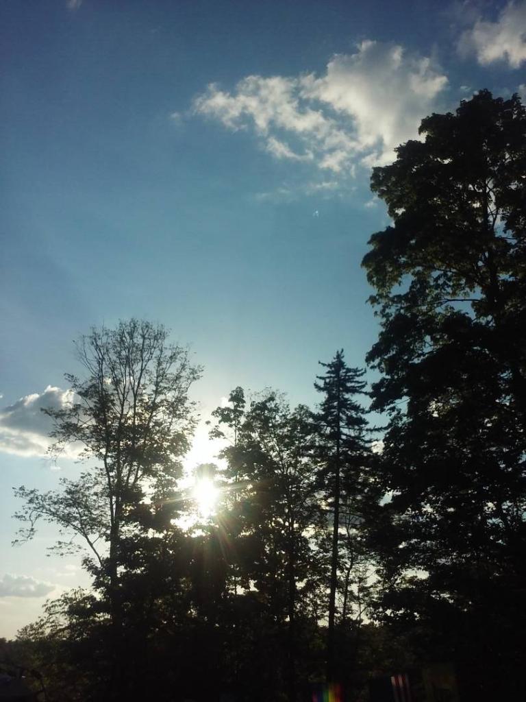 Photo: Later in the Afternoon