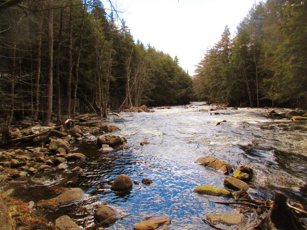 Photo: Sacandaga River Below Auger Falls