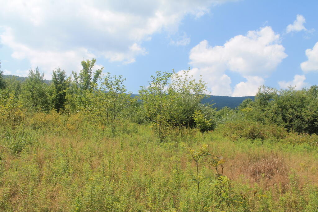 Photo: Starting Up Bear Pen Mountain
