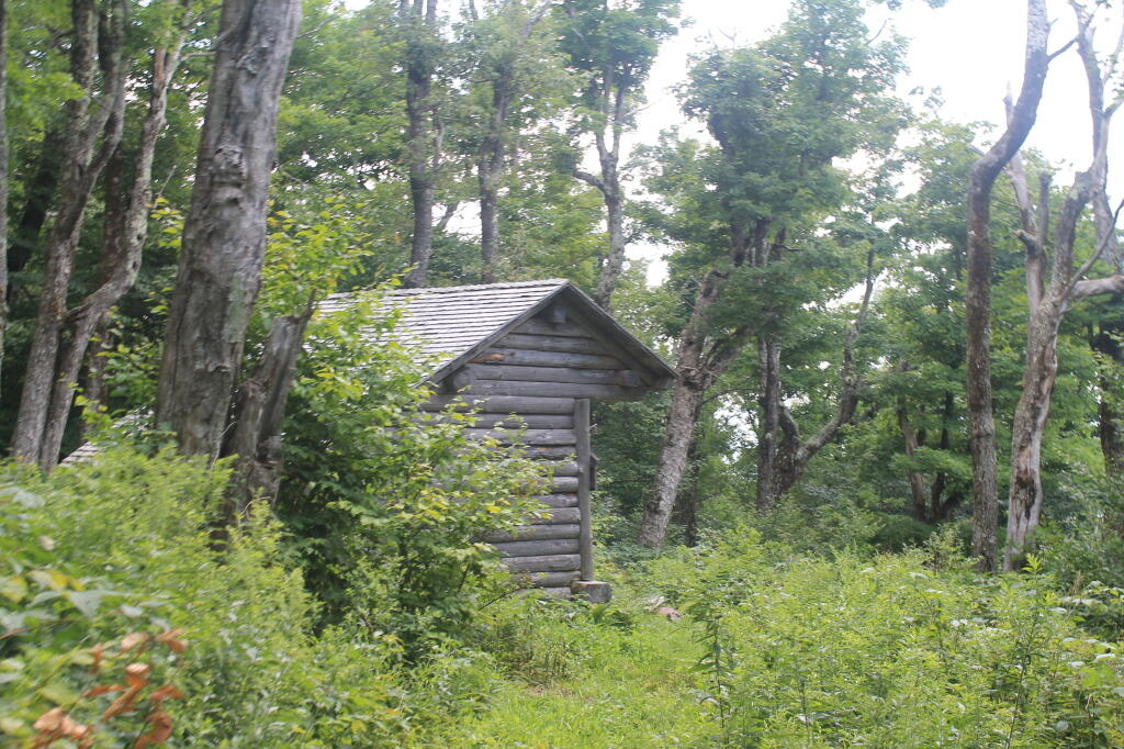 Photo: The Fabled Huntersfield Lean-To Photo: The Fabled Huntersfield Lean-To