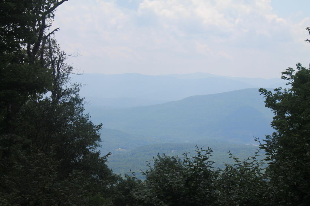 Photo: View from Lean-To Photo: View from Lean-To
