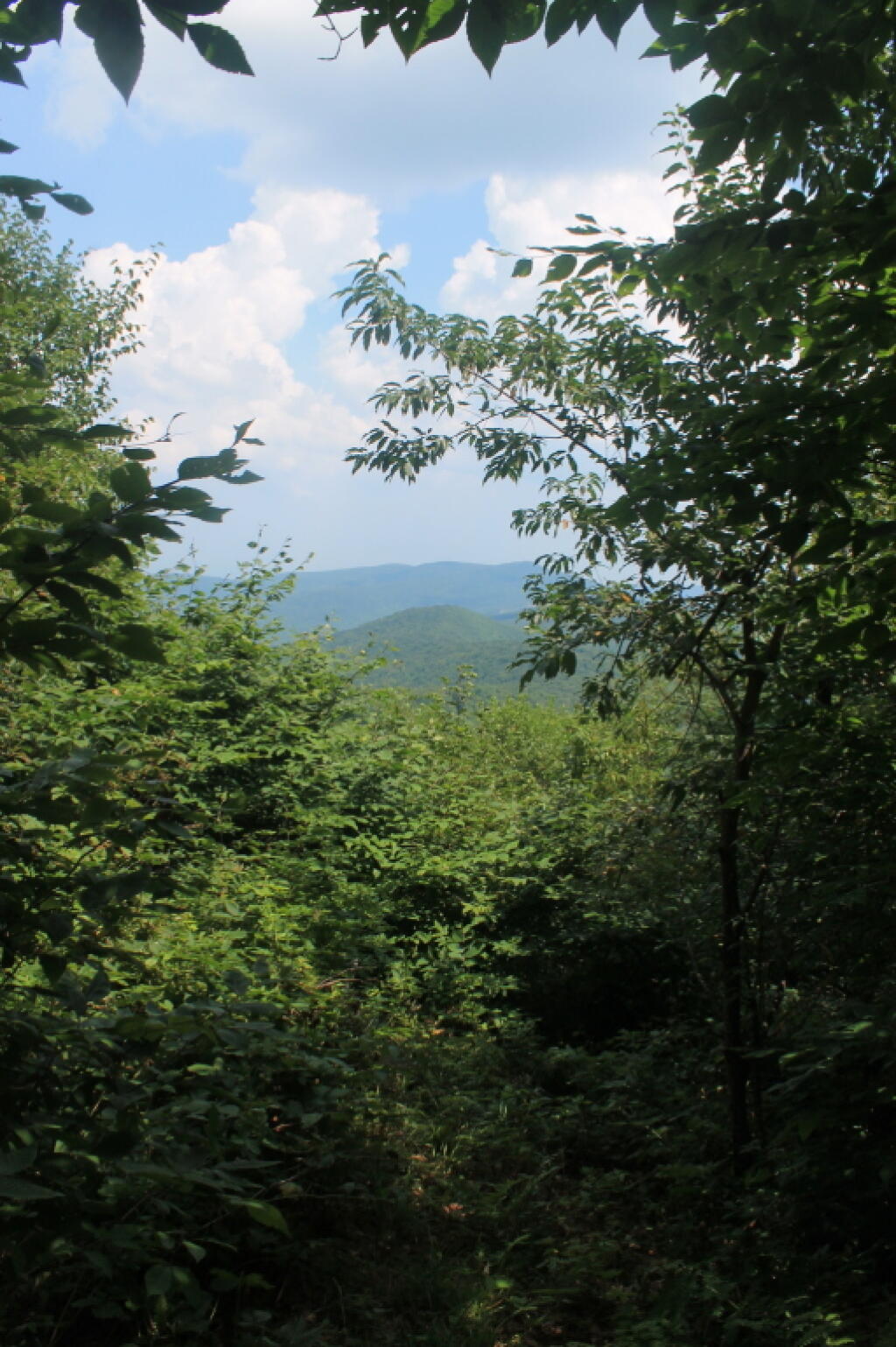 Photo: View of Ashland Pinacle Photo: View of Ashland Pinacle