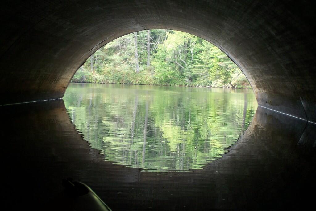 Photo: Reflect Photo: Reflect