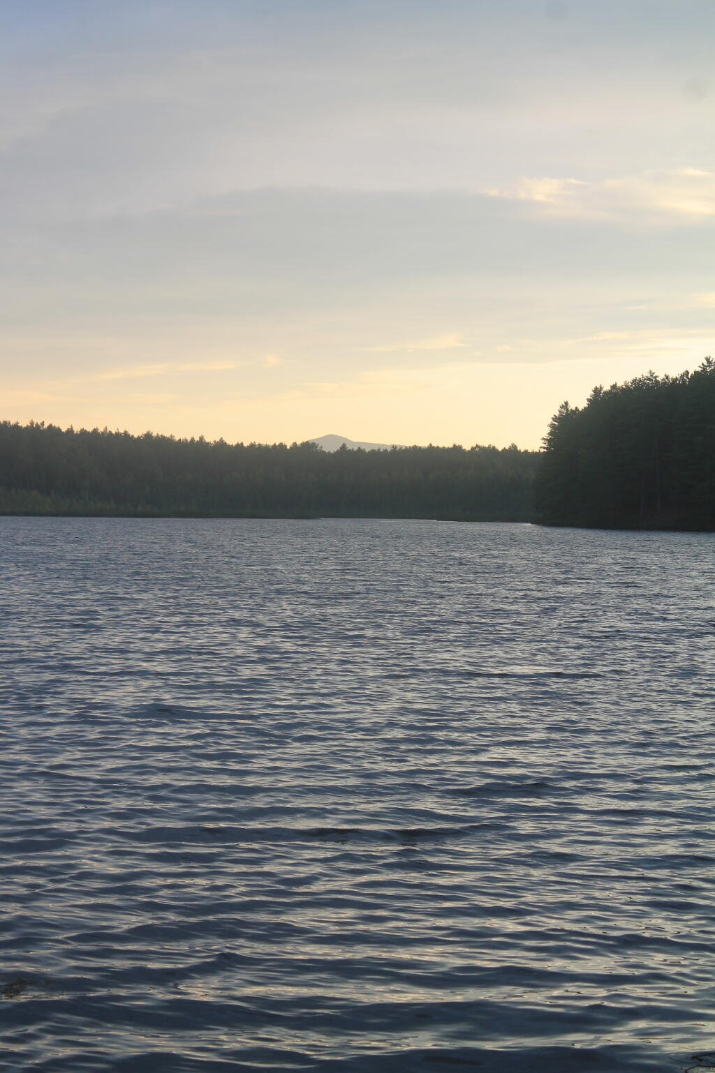 Photo: Lakes Edge of Jones Pond Photo: Lakes Edge of Jones Pond