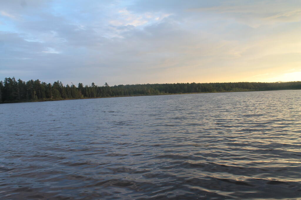 Photo: Blue to Yellow