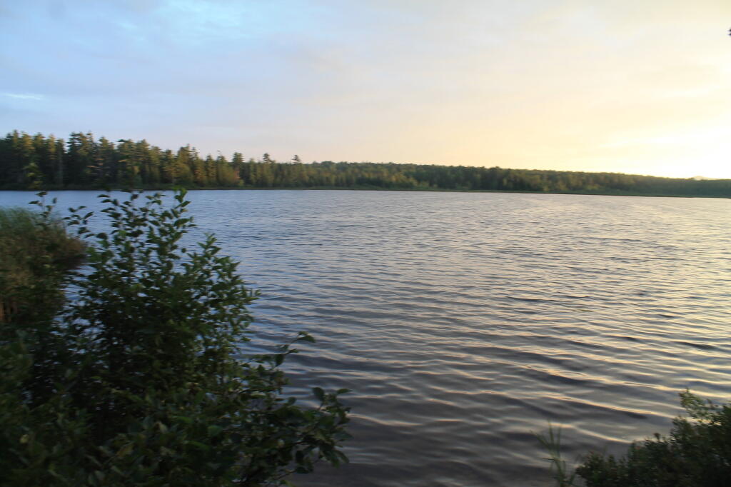 Photo: Water