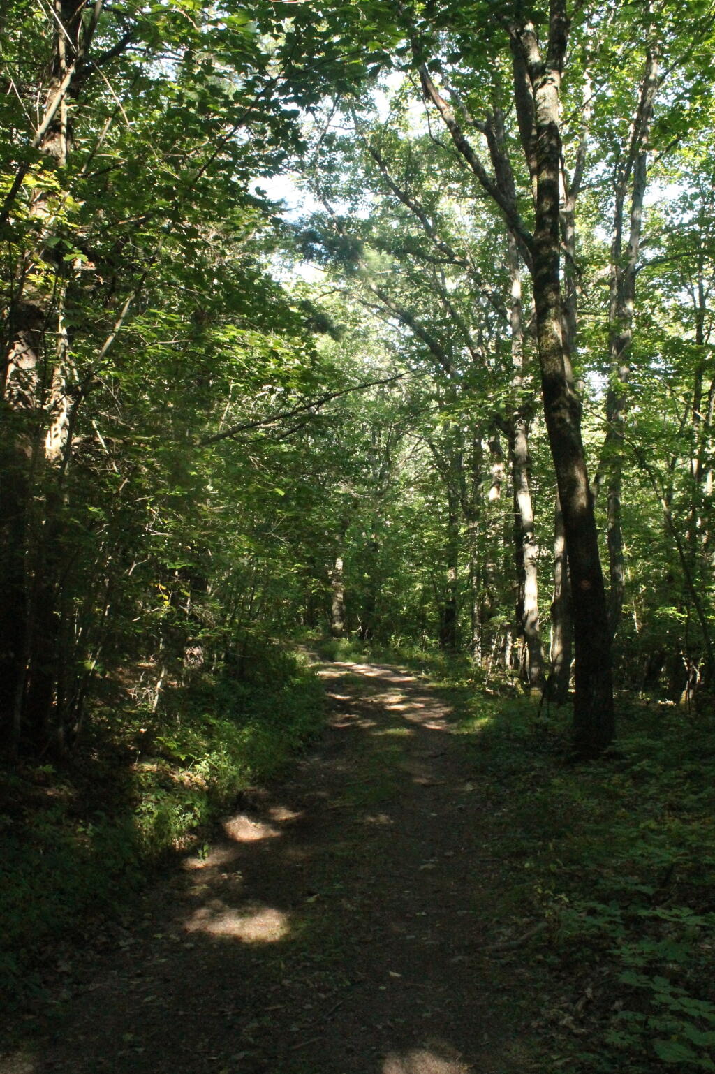 Photo: Trail Overhead Photo: Trail Overhead
