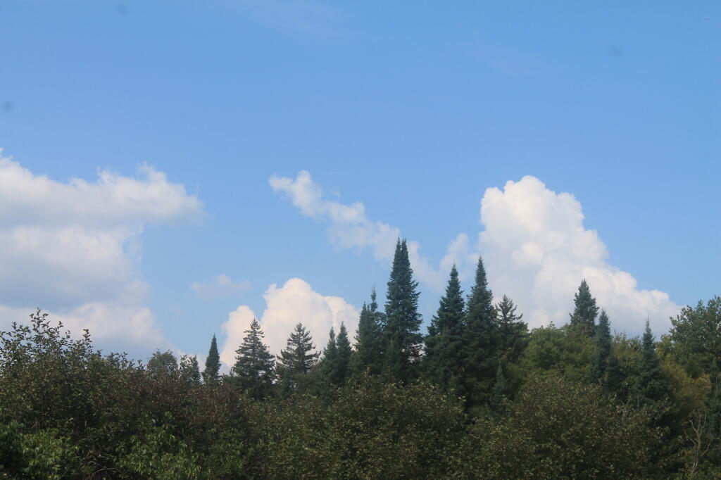 Photo: Pointy