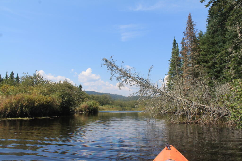 Photo: Above Beaver Dam No. 1