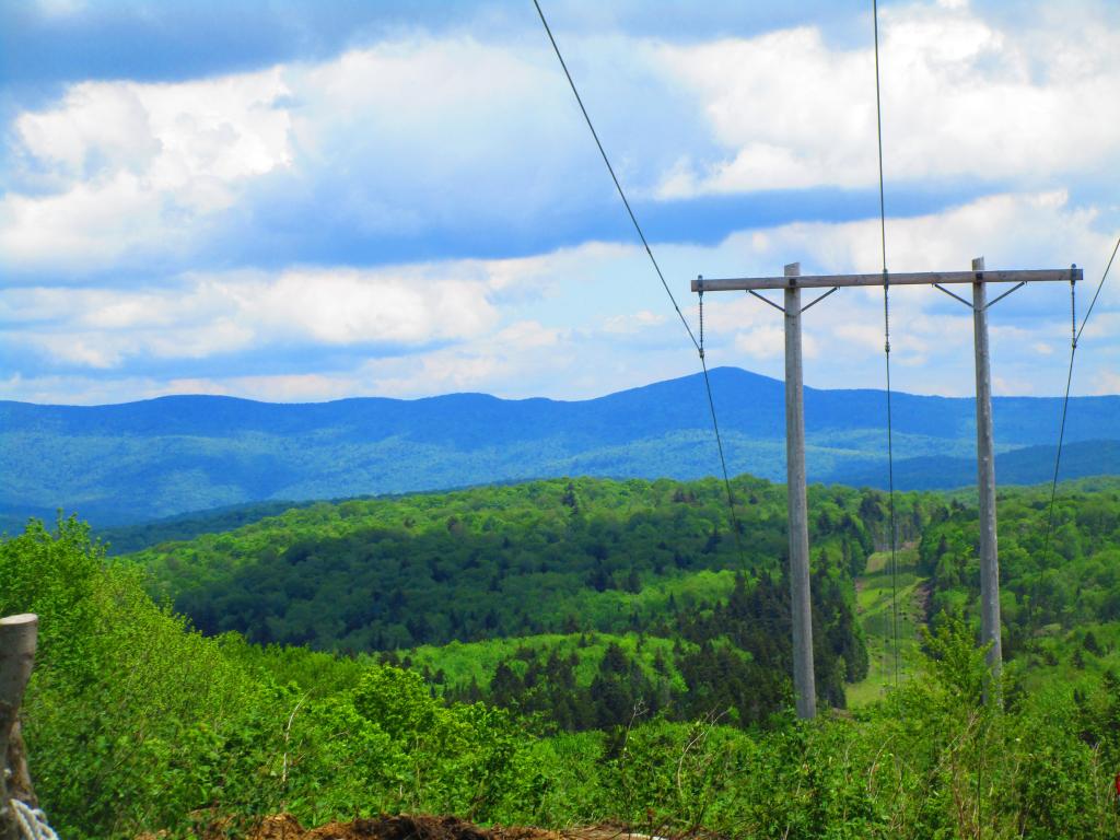 Photo: Power Line Break