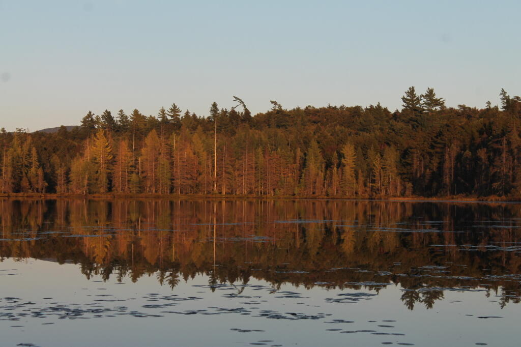 Photo: Reflections