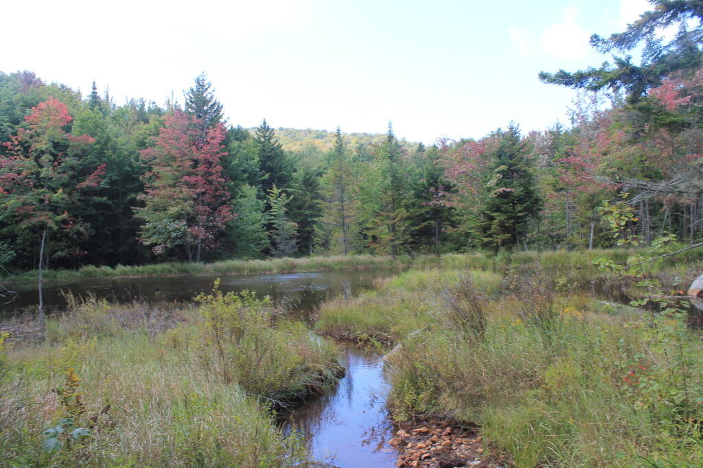 Photo: Pond Photo: Pond