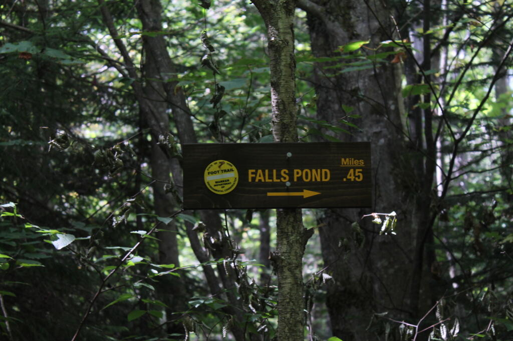Photo: .45 Mile to Falls Pond Photo: .45 Mile to Falls Pond